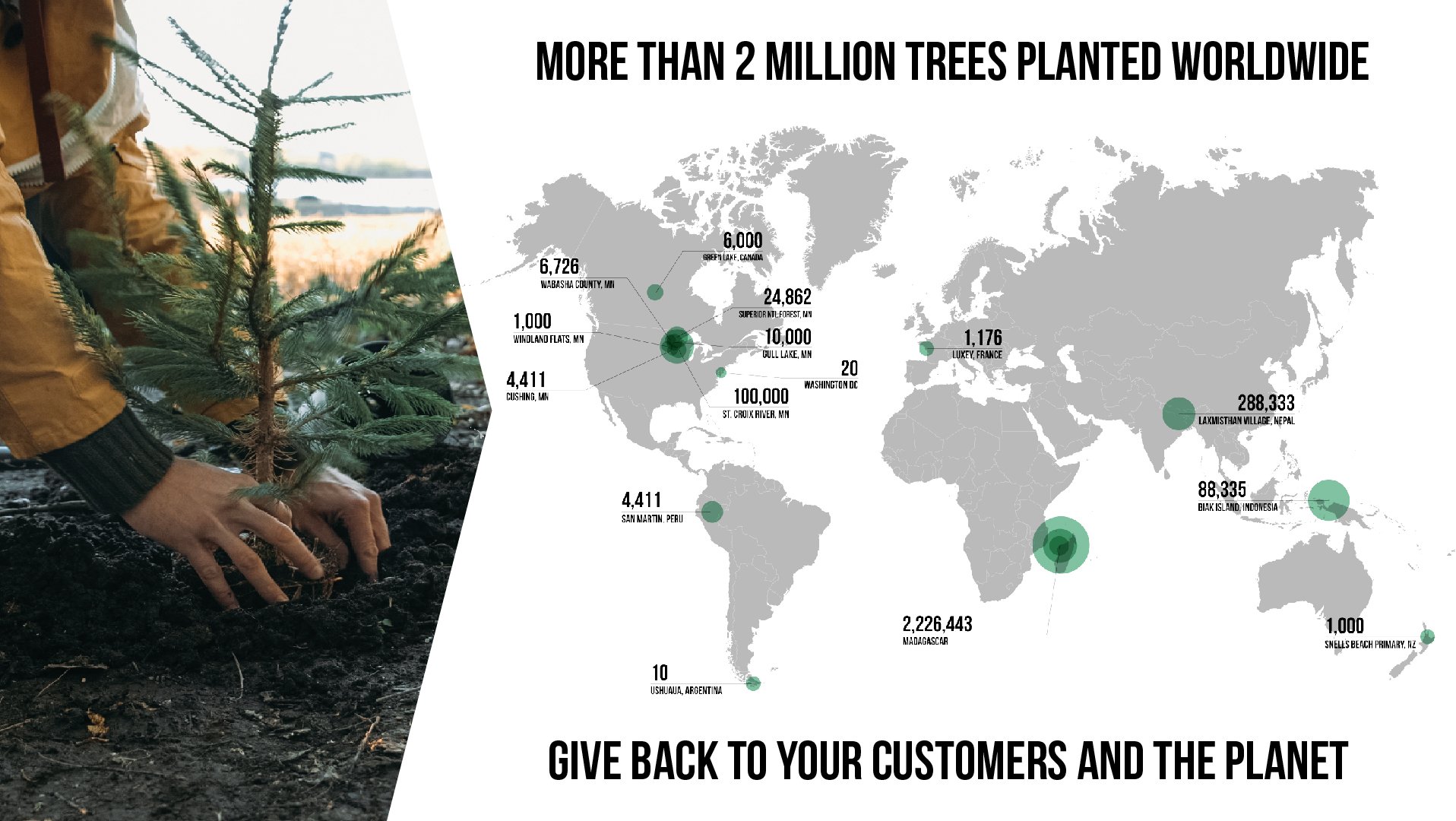 tree planted for every product